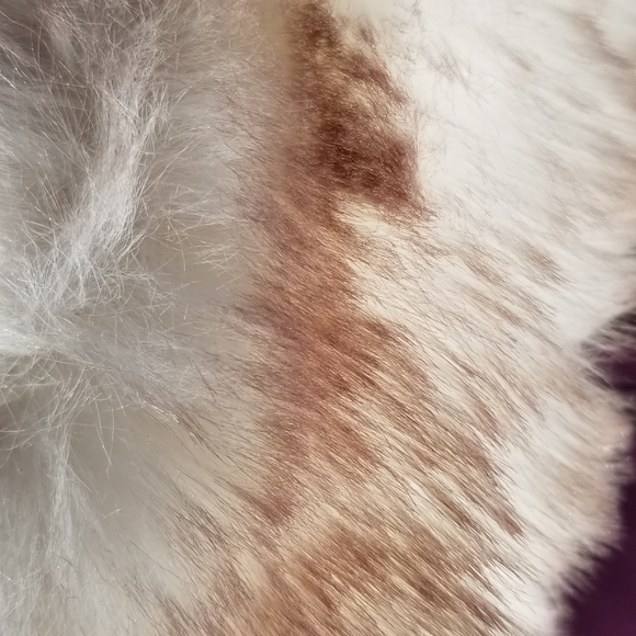 Jessica Simpson Fur Clog Slipper Shoes - Picture 3 of 6